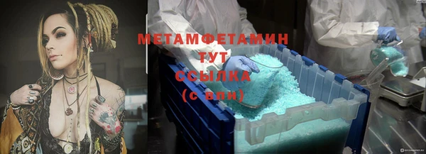 соль ск Дмитриев