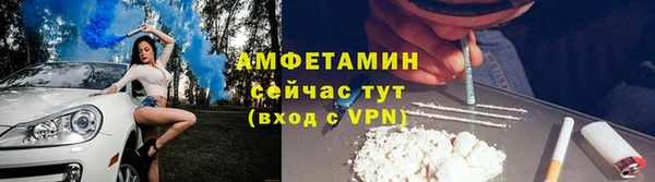соль ск Дмитриев