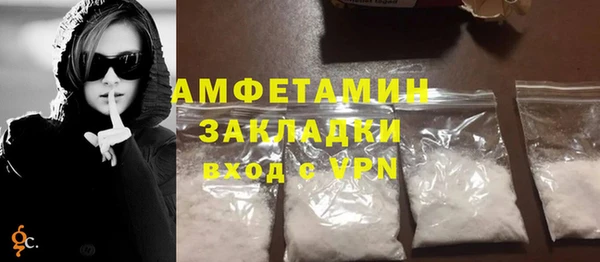 соль ск Дмитриев