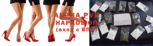 соль ск Дмитриев