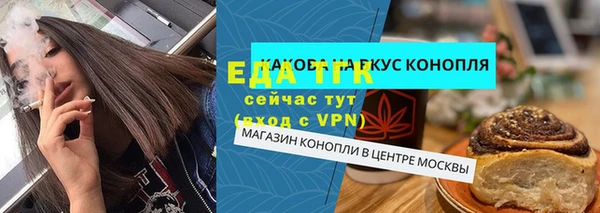 соль ск Дмитриев