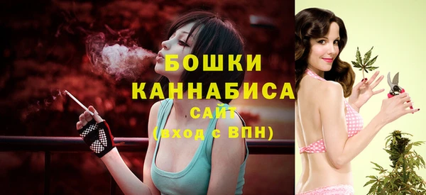 соль ск Дмитриев